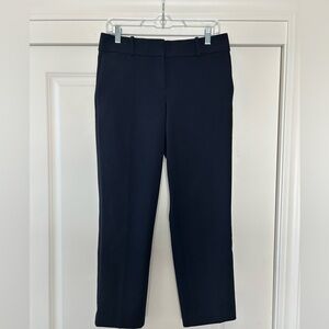 Ann Taylor Navy Ankle Cropped Pants